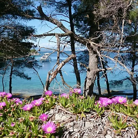 Nyaraló Bay Nečujam