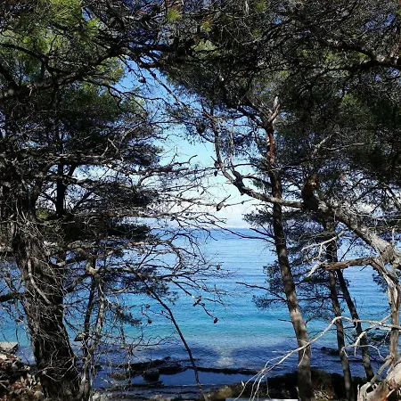 Bay Nyaraló *