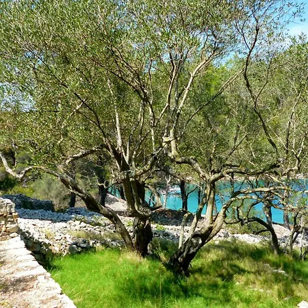 Bay Nyaraló