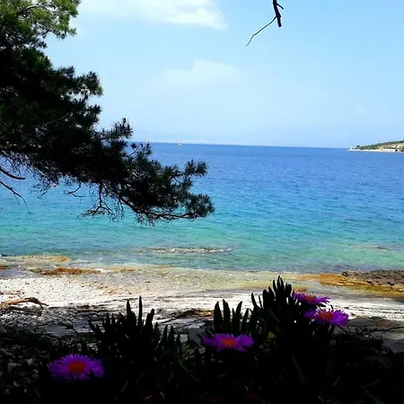 Bay Nyaraló Nečujam