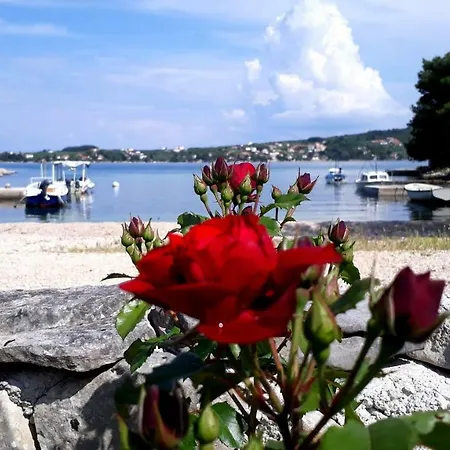 Bay Nyaraló