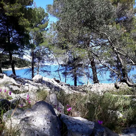 Bay Nyaraló Nečujam