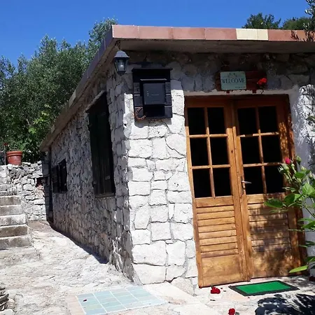 Bay Nyaraló *